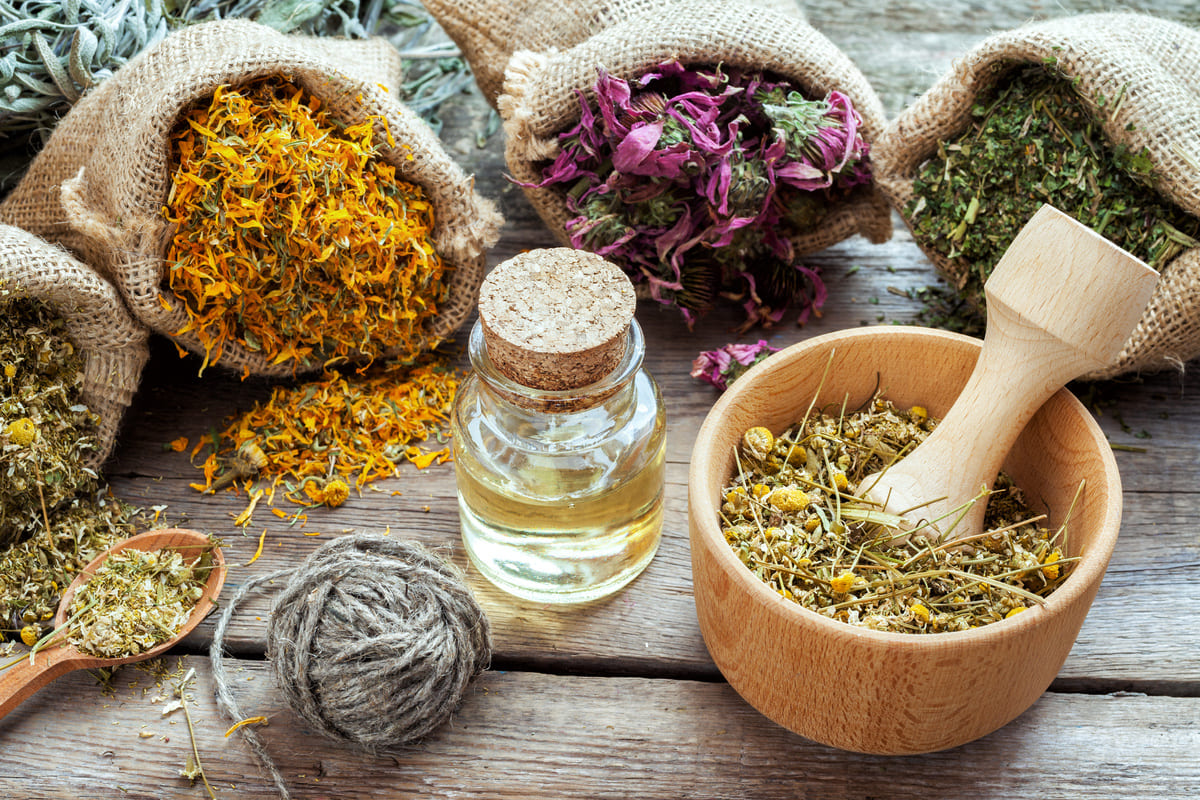 plantes-medicinales