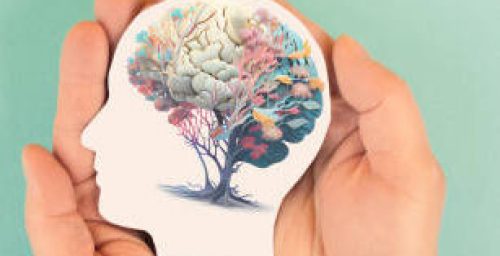 Hands holding paper head, human brain with flowers, self care and mental health concept, positive thinking, creative mind